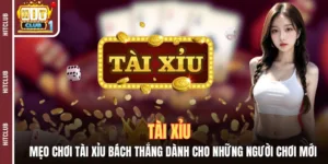 meo choi tai xiu moi