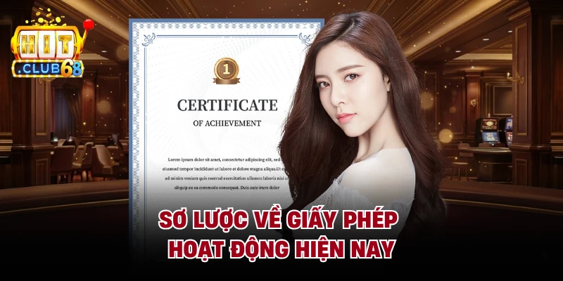 Sơ lược về giấy phép hoạt động hiện nay